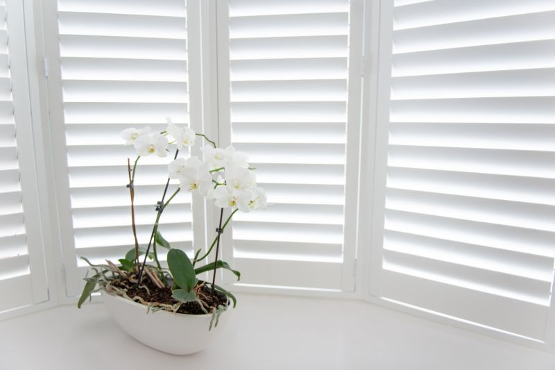 Window Shutters Replacement in Longmont, CO